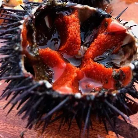 Fabiene Familyholidays Deluxe 체팔루