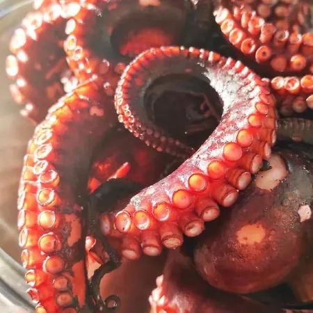 Fabiene Familyholidays Deluxe 아파트 체팔루