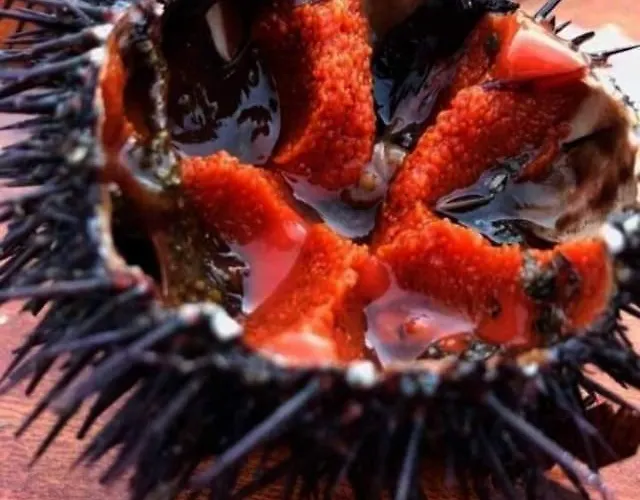 Fabiene Familyholidays Deluxe Cefalù