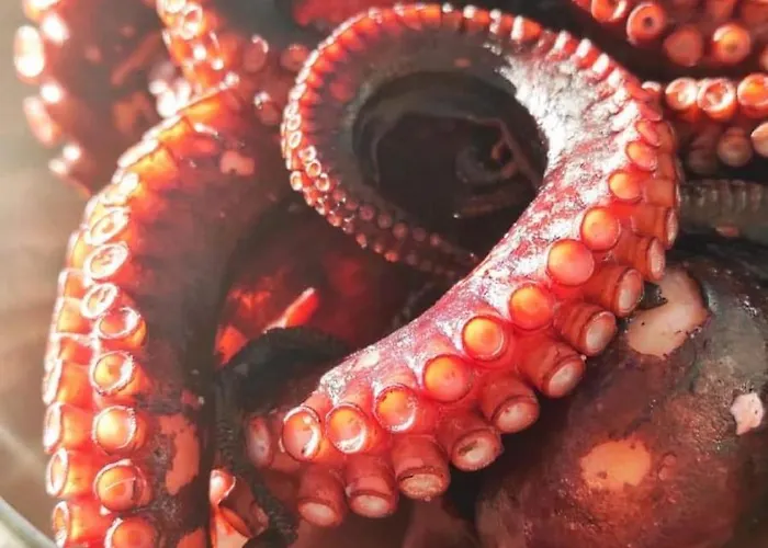 Fabiene Familyholidays Deluxe Апартаменти Чефалу